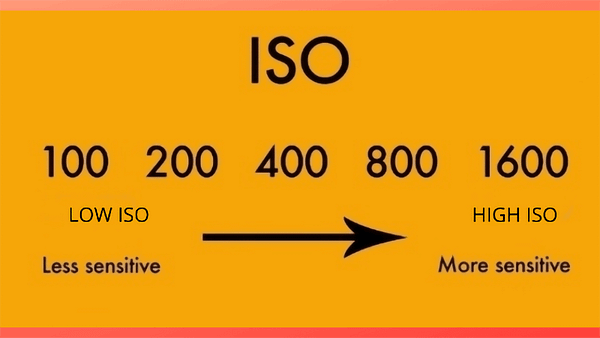 Iso value in your camera 