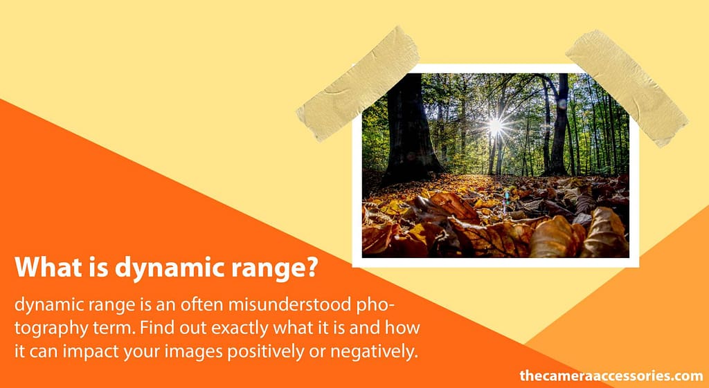 what is dynamic range in camera