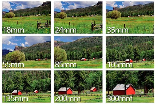 sample images of telephoto lens