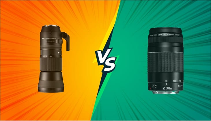 What differentiates a Zoom Lens from a Telephoto Camera Lens?