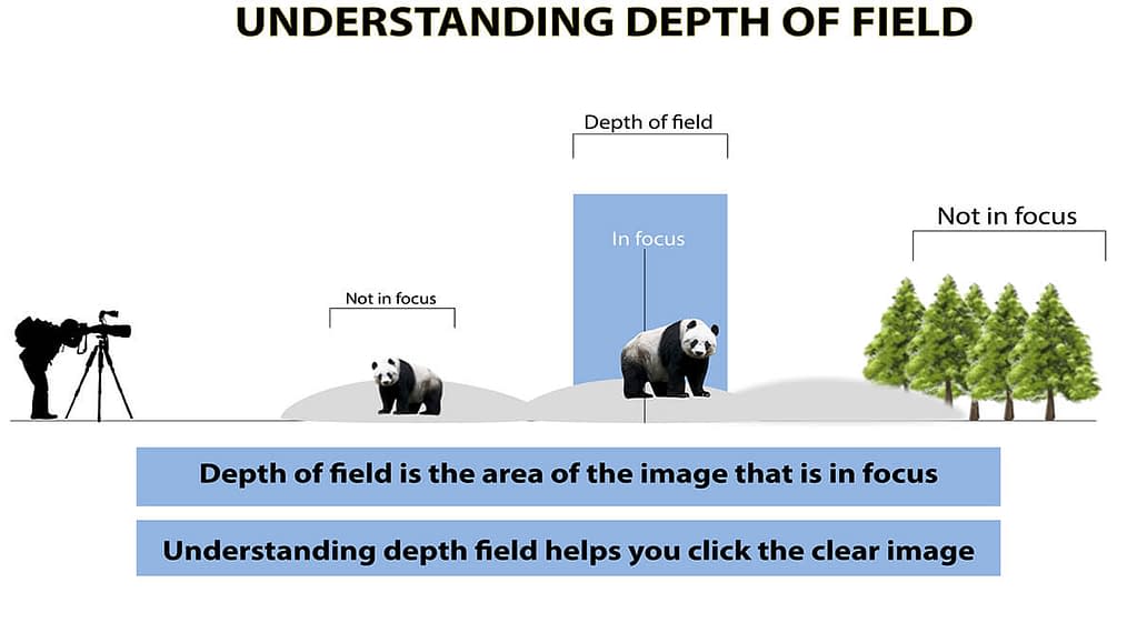 what depth of field in photography